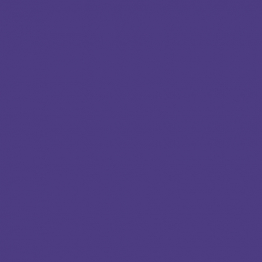 Couleur violet
